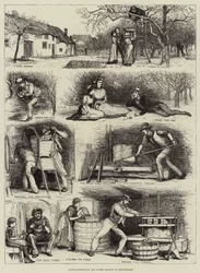Apple-Gathering and Cider-Making in Devonshire